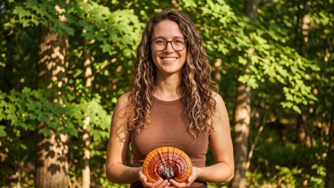 Fascinating Reishi (Ganoderma lucidum)