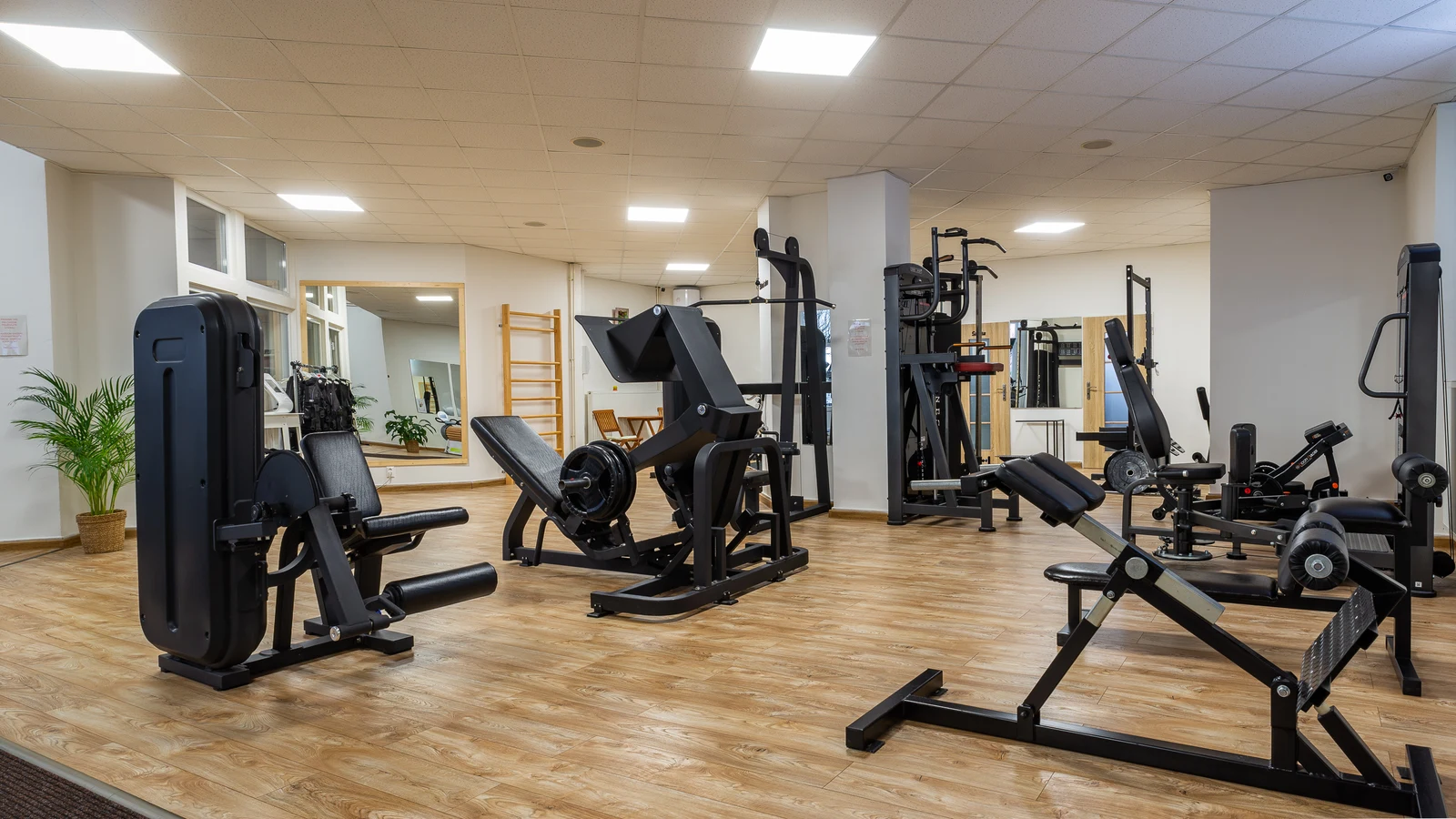 WERONice fitness
